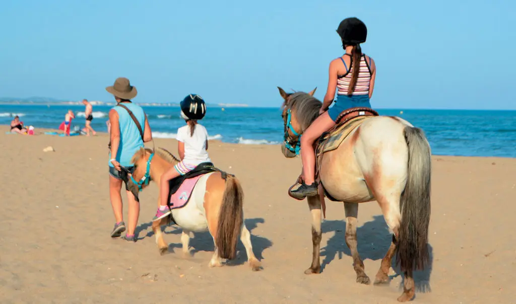Balade à poney pour les enfants en bord de mer au camping à Vias Plage, avec accès direct à la plage Méditerranée et activités familiales sur place.